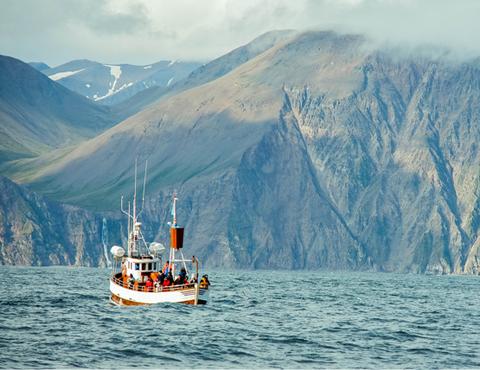 Norwegian fish oil